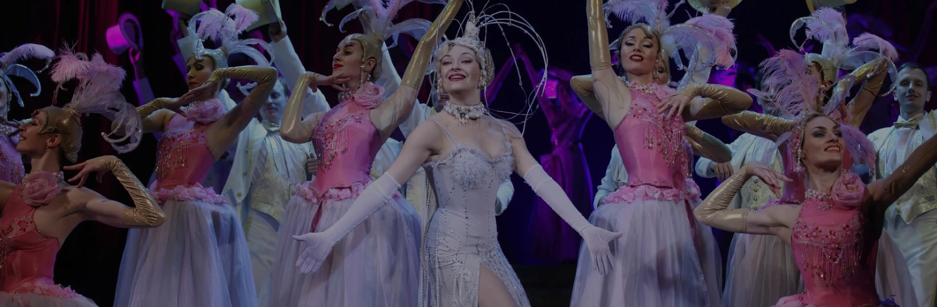 ФИАЛКА МОНМАРТРА